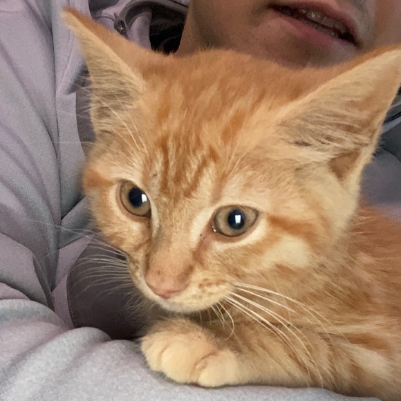 Meet your Posher, Bill - Picture 1 of 1